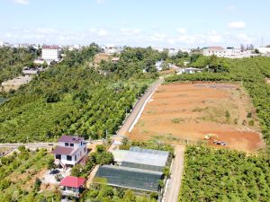 Đất nền 509 m2 hẻm 147 Trần Phú Lộc Sơn Bảo Lộc Lâm Đồng
