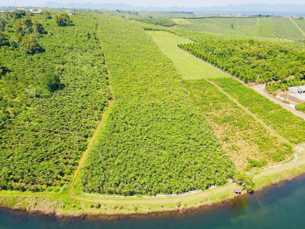 Bán 1,6 ha 3 mặt tiền đường 17 Lộc Quảng Bảo Lâm Lâm Đồng