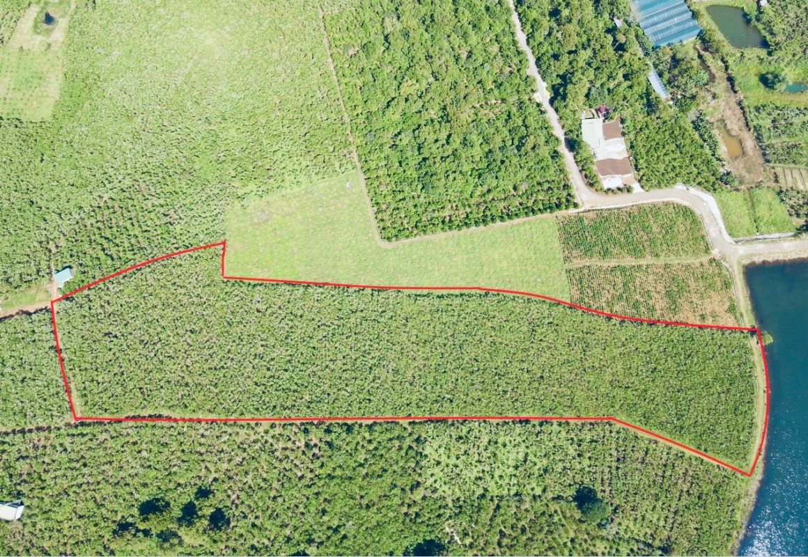 Bán 1,6 ha 3 mặt tiền đường 17 Lộc Quảng Bảo Lâm Lâm Đồng
