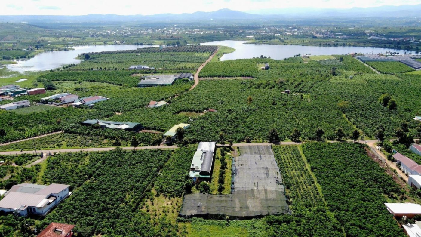 Bán 1,8 sào Mạc Thị Bưởi Lộc Thanh Bảo Lộc Lâm Đồng
