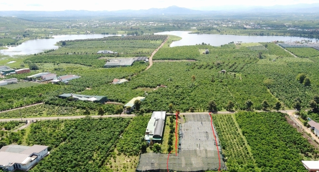 Bán 1,8 sào Mạc Thị Bưởi Lộc Thanh Bảo Lộc Lâm Đồng