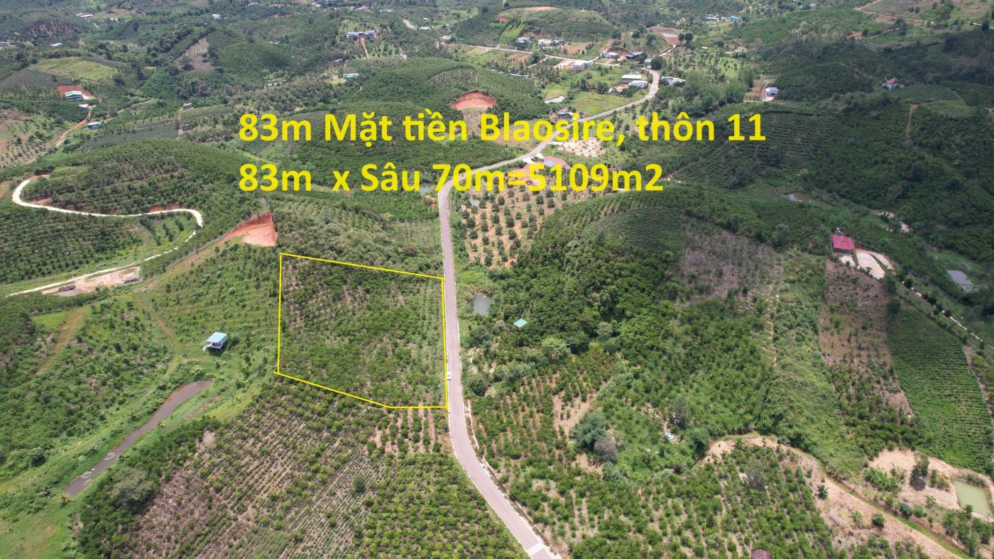 Bán 5,109 m2. 83m Mặt tiền đường nhựa BlaoSire Đại Lào Bảo Lộc Lâm Đồng