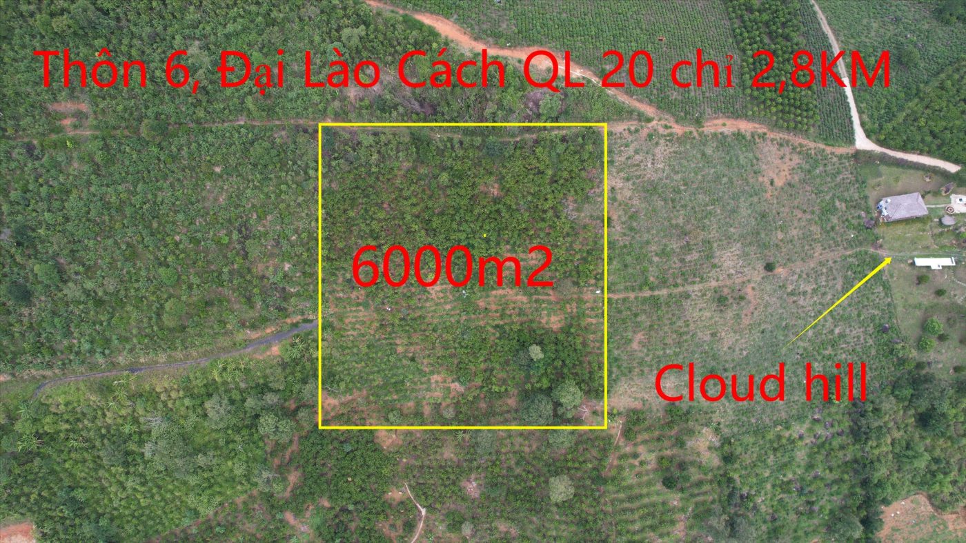 Bán 6,000 m2 kế bên Homestay Cloudhill Phạm Hồng Thái Đại Lào Bảo Lộc