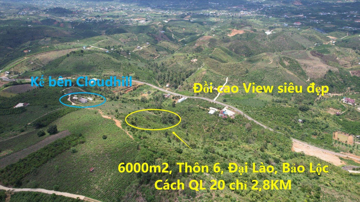 Bán 6,000 m2 kế bên Homestay Cloudhill Phạm Hồng Thái Đại Lào Bảo Lộc