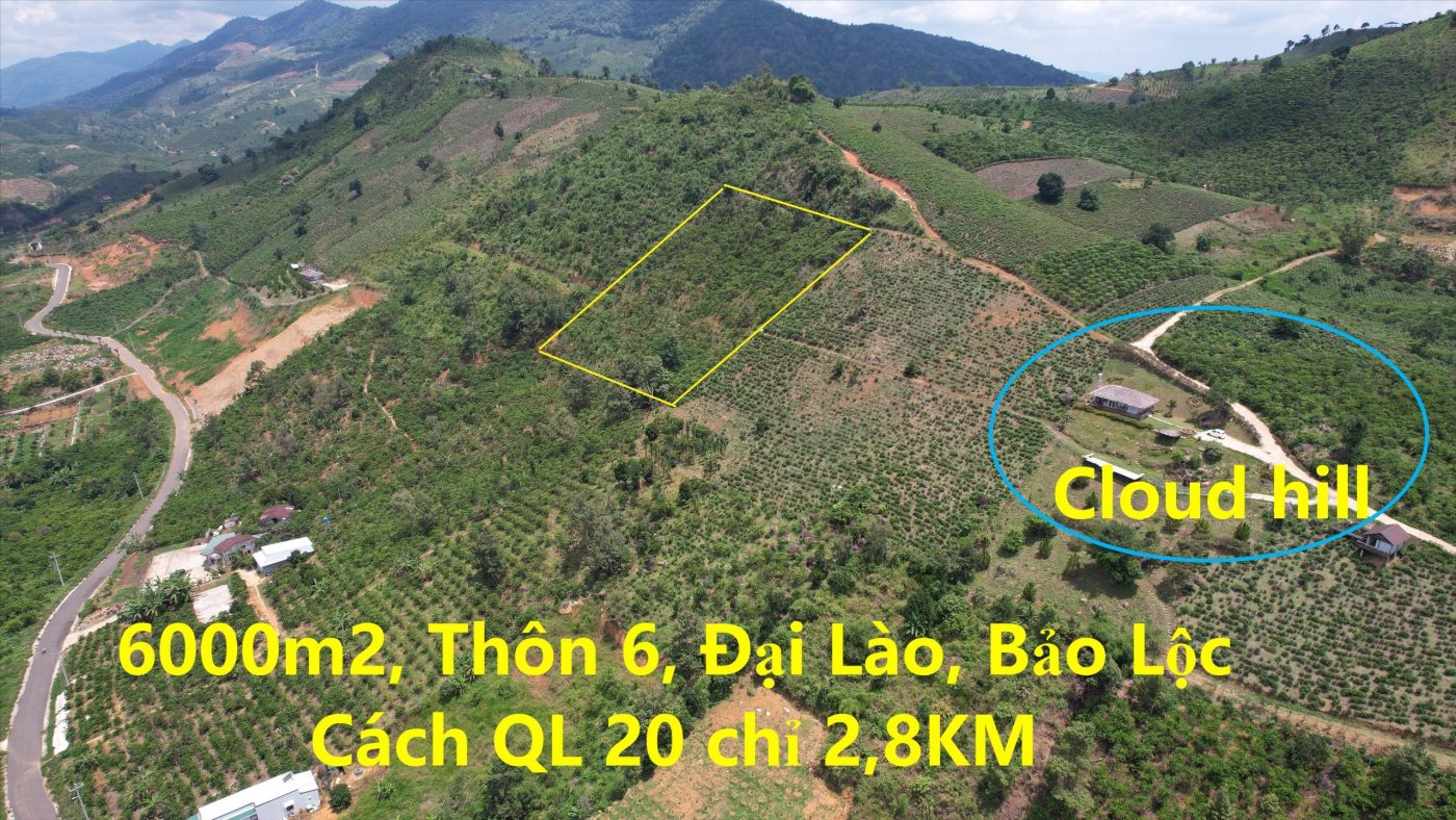Bán 6,000 m2 kế bên Homestay Cloudhill Phạm Hồng Thái Đại Lào Bảo Lộc
