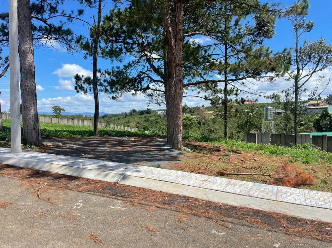 Đất nền nghỉ dưỡng khu Làng Thông Lộc Quảng Bảo Lâm