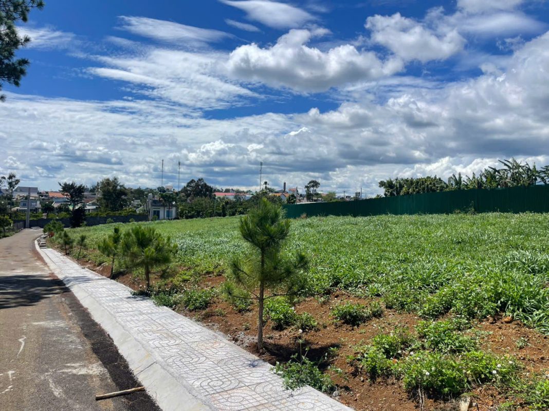 Đất nền nghỉ dưỡng khu Làng Thông Lộc Quảng Bảo Lâm