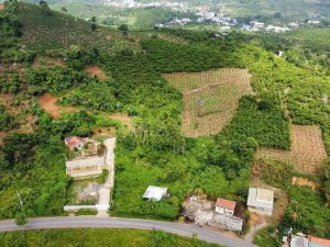 Bán nhà mặt tiền BlaoSire Đại Lào Bảo Lộc Lâm Đồng