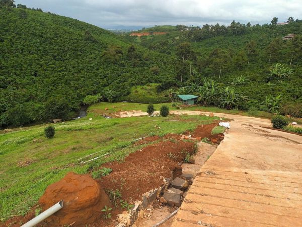 Bán 1,1 ha ngay trung tâm Lộc Thanh Bảo Lộc Lâm Đồng