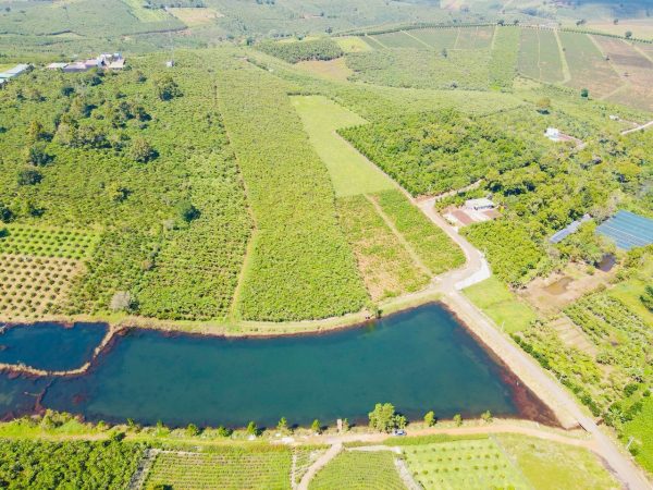 Bán 1,6 ha 3 mặt tiền đường 17 Lộc Quảng Bảo Lâm Lâm Đồng