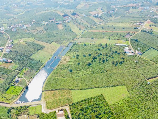Bán 1,6 ha 3 mặt tiền đường 17 Lộc Quảng Bảo Lâm Lâm Đồng