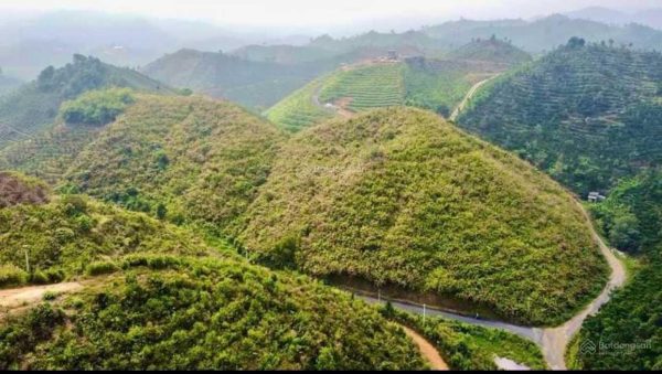 Bán 1,75 ha đất vườn 2 mặt tiền nhựa Thôn 10C Lộc Thành Bảo Lâm Lâm Đồng