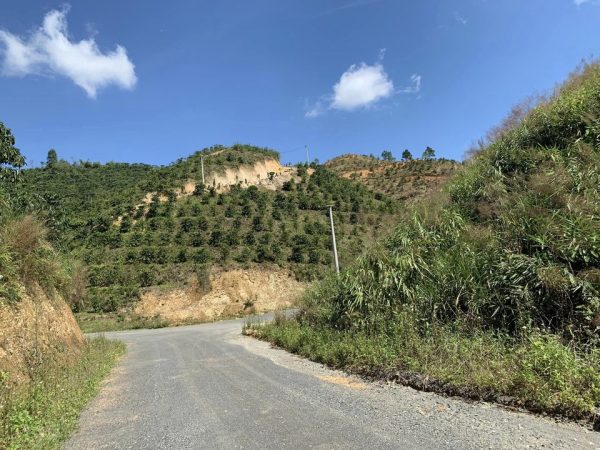 Bán 1,75 ha đất vườn 2 mặt tiền nhựa Thôn 10C Lộc Thành Bảo Lâm Lâm Đồng