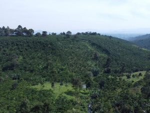 Bán 3,938 m2 mặt tiền Nguyễn Trãi Lộc Thanh Bảo Lộc