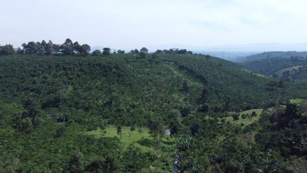 Bán 3,938 m2 mặt tiền Nguyễn Trãi Lộc Thanh Bảo Lộc
