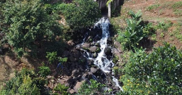 Bán 3,938 m2 mặt tiền Nguyễn Trãi Lộc Thanh Bảo Lộc