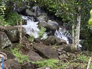Bán 3,938 m2 mặt tiền Nguyễn Trãi Lộc Thanh Bảo Lộc