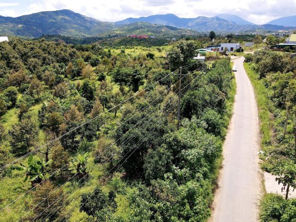 Bán 1,85 ha vườn Cây ăn trái tại Lộc Nam Bảo Lâm Lâm Đồng