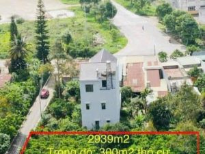 Bán 3 sào nghỉ dưỡng hẻm Trần Hưng Đạo Lộc Sơn Bảo Lộc Lâm Đồng