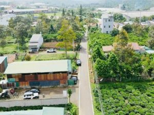 Bán 3 sào nghỉ dưỡng hẻm Trần Hưng Đạo Lộc Sơn Bảo Lộc Lâm Đồng