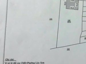 Bán 3 sào nghỉ dưỡng hẻm Trần Hưng Đạo Lộc Sơn Bảo Lộc Lâm Đồng