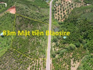 Bán 5,109 m2. 83m Mặt tiền đường nhựa BlaoSire Đại Lào Bảo Lộc Lâm Đồng