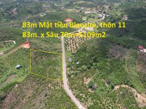 Bán 5,109 m2. 83m Mặt tiền đường nhựa BlaoSire Đại Lào Bảo Lộc Lâm Đồng