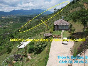 Bán 6,000 m2 kế bên Homestay Cloudhill Phạm Hồng Thái Đại Lào Bảo Lộc