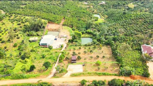 Bán 2573 m2 mặt tiền đường Hàm Nghi Đại Lào Bảo Lộc Lâm Đồng