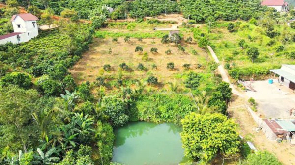 Bán 2573 m2 mặt tiền đường Hàm Nghi Đại Lào Bảo Lộc Lâm Đồng
