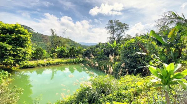 Bán 2573 m2 mặt tiền đường Hàm Nghi Đại Lào Bảo Lộc Lâm Đồng