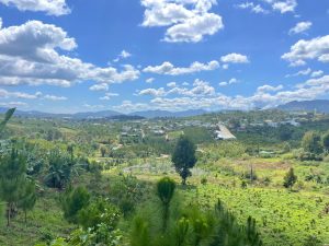 Bán HomeStay 3 ha Trung Tâm Bảo Lộc Lâm Đồng