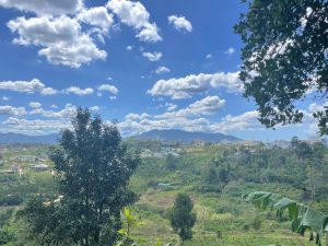 Bán HomeStay 3 ha Trung Tâm Bảo Lộc Lâm Đồng