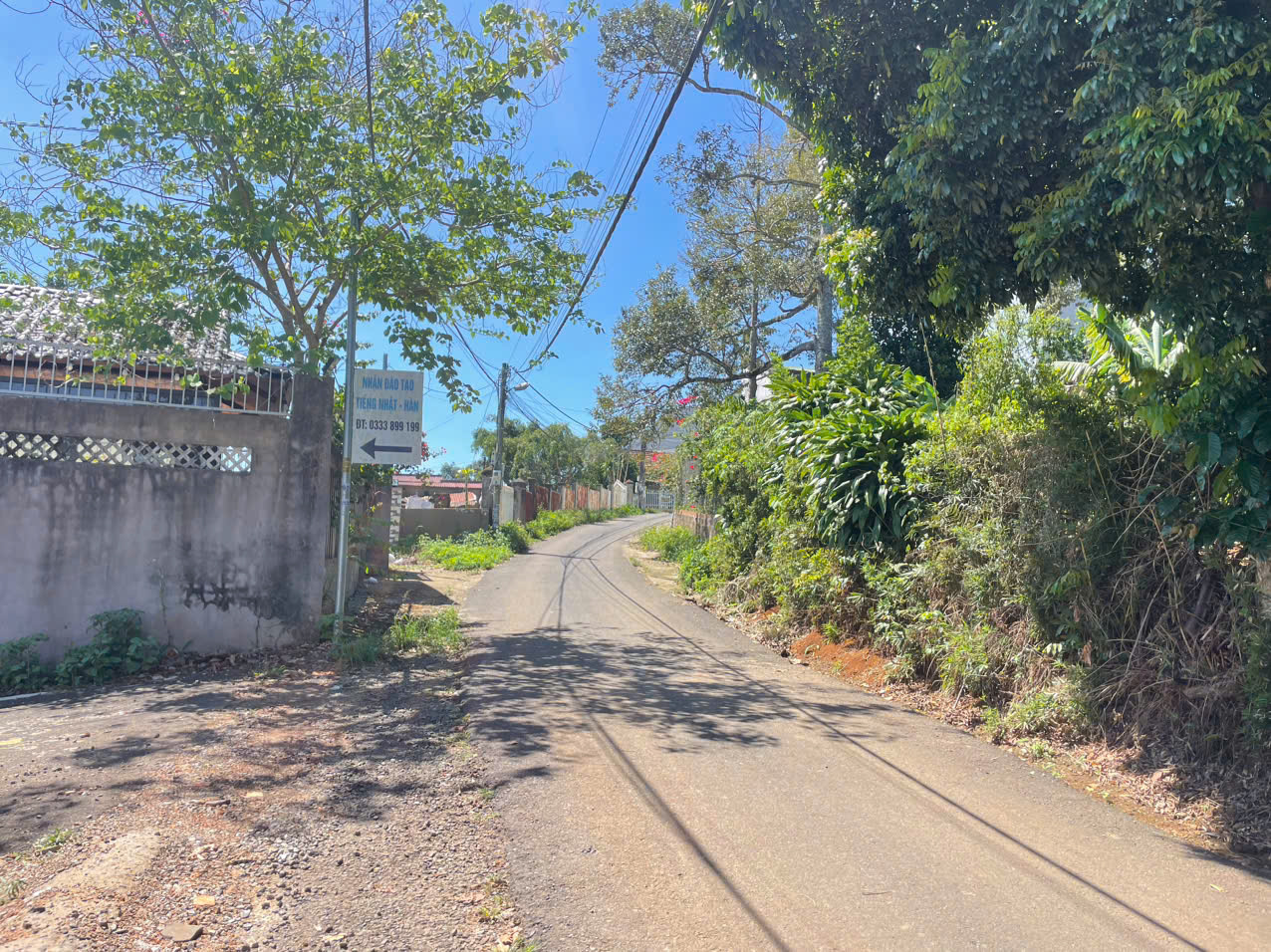 d hai thuong lan ong-3 Biệt thự sân vườn Hải Thượng Lãn Ông Phường 1 Bảo Lộc Lâm Đồng