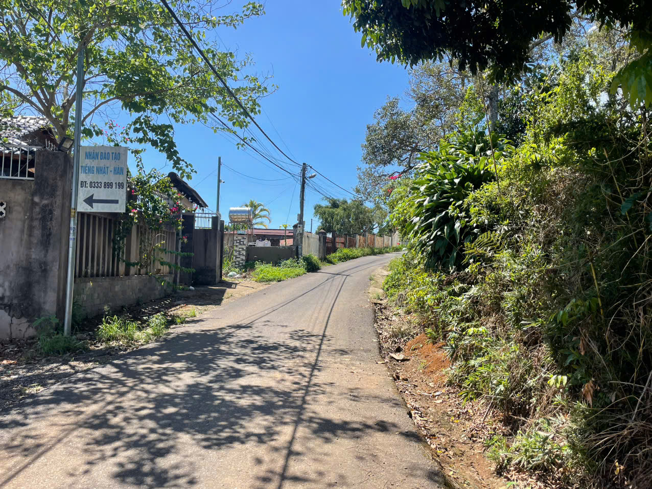 d hai thuong lan ong Biệt thự sân vườn Hải Thượng Lãn Ông Phường 1 Bảo Lộc Lâm Đồng