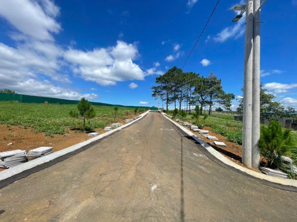 Đất nền nghỉ dưỡng khu Làng Thông Lộc Quảng Bảo Lâm