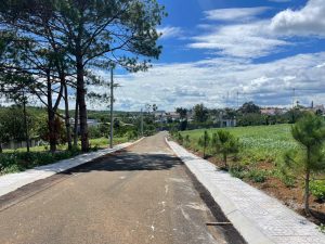 Đất nền nghỉ dưỡng khu Làng Thông Lộc Quảng Bảo Lâm