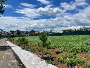 Đất nền nghỉ dưỡng khu Làng Thông Lộc Quảng Bảo Lâm