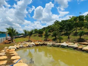 Bán 2 sào hẻm Blaosire Đại Lào Bảo Lộc Lâm Đồng