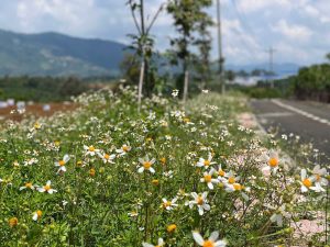 Đất nền đầu tư Lộc Nam Bảo Lâm 3 Lâm Đồng