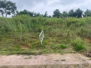 Đất nền đầu tư Lộc Nam Bảo Lâm 3 Lâm Đồng