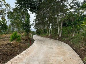 Cần bán 2 lô liền kề Lộc Nam Bảo Lâm 3 Lâm Đồng