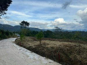 Cần bán 2 lô liền kề Lộc Nam Bảo Lâm 3 Lâm Đồng