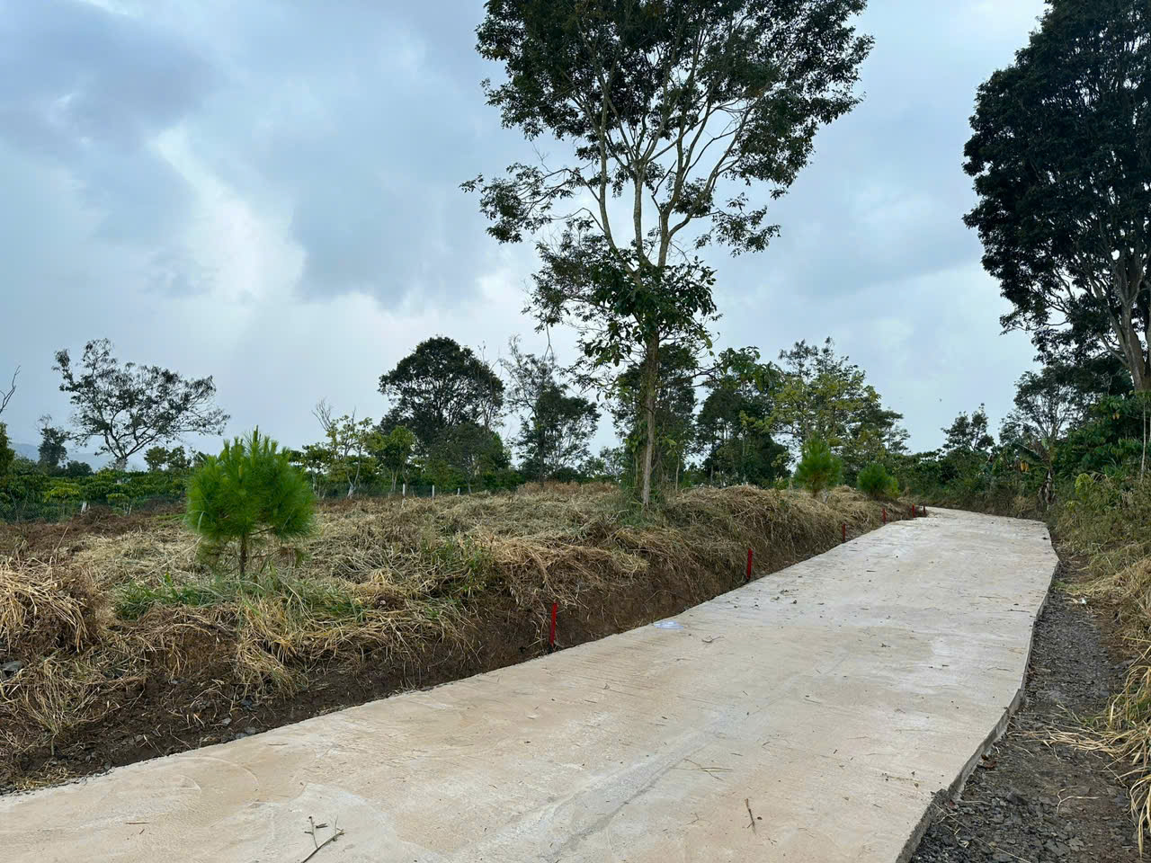 Cần bán 2 lô liền kề Lộc Nam Bảo Lâm 3 Lâm Đồng